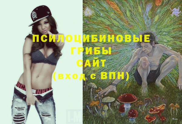 spice Абаза