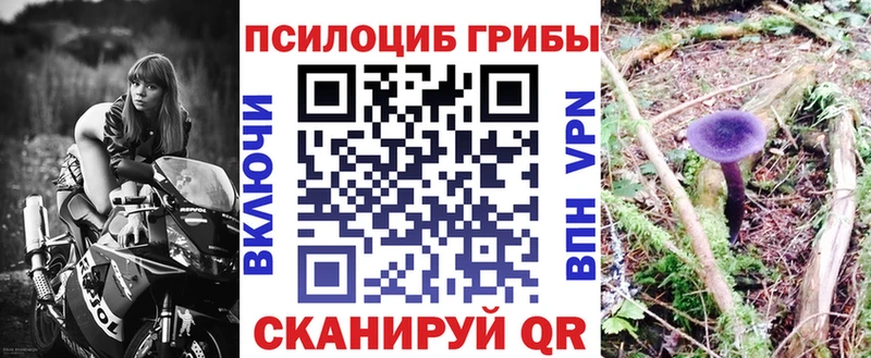 сколько стоит  Тольятти  гидра   Галлюциногенные грибы Psilocybe 
