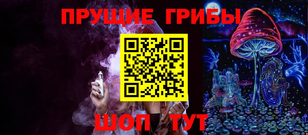 Псилоцибиновые грибы Psilocybe Тольятти